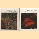 Niedere Tiere im tropischen Seewasseraquarium (2 volumes)
Peter Wilkens
€ 20,00