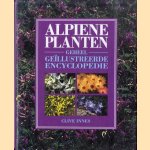 Alpiene planten: geheel geïllustreerde encyclopedie door Clive Innes