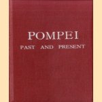 Pompei. Past en present. Its principal monuments as they are and as they used to be reproduced and restored from photographs and original sketches door Luigi Fischetti