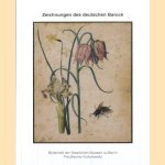 Zeichnungen des deutschen Barock
Sibylle Groß
€ 6,00