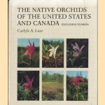 The Native Orchids of The United States and Canada excluding Florida door Carlyle A. Luer