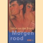 Morgenrood. Een joyride door Stefan van den Broeck