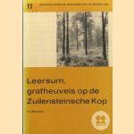 Leersum, grafheuvels op de Zuilensteinsche Kop door H.J. Reusink