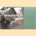 Armando in beeld. Sculpturententoonstelling met de stad als podium
Y.F. Ploum
€ 10,00