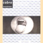 Knoeiers kladders verlakkers. CoBrA 60
Lieke Fijen e.a.
€ 10,00