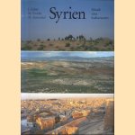 Syrien: Mosaik eines Kulturraumes door J. Kalter e.a.