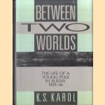 Between Two Worlds. The Life of a Young Pole in Russia 1939-1946 door K.S. Karol