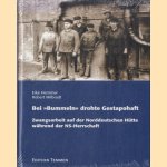 Bei ''Bummeln'' drohte Gestapohaft. Zwangsarbeit auf der norddeutschen Hütte während des NS-Regimes door Eike Hemmer e.a.