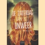 De zaterdag van het onweer door Martine Glaser