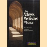 Les Abbayes Médiévales en France door Marc Déceneux e.a.