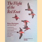 Flight of the Red Knot. A Natural History Account of a Small Bird's Annual Migration from the Arctic Circle to the Tip of South America and Back door Brian Harrington e.a.