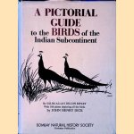 A Pictorial Guide to the Birds of the Indian Subcontinent door Salim Ali e.a.