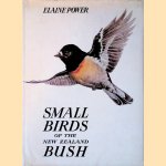 Small Birds of the New Zealand Bush door Elaine Power