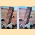 Deer Stones of Mongolia (2 volumes) door Doeke Eisma