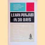 Learn Punjabi in 30 days door N.S.R. Ganathe