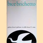 Bice Brichetto dall' 8 marzo al 5 aprile 1975
Luigi Carluccio
€ 9,00