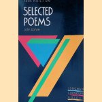 York Notes on Selected Poems of John Donne door Phillip Mallett