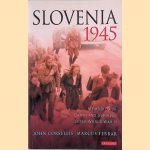 Slovenia 1945: Memories of Death And Survival After World War II door John Corsellis e.a.