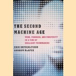 The Second Machine Age: Work, Progress, and Prosperity in a Time of Brilliant Technologies
Erik Brynjolfsson e.a.
€ 7,50