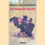 Het Belgisch labyrint. Een wegwijzer (overschilderd natuurlijk) door Geert van Istendael