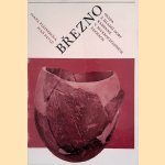 Brezno. Osada Z Mladsi Doby Kamenne V Severozapaddnich Cechach door Ivana Pleinerova e.a.