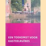 Een toekomst voor kasteelruïnes. Handreiking voor de instandhouding van archeologische kasteelterreinen en kasteelruïnes
Cees van 't Veen
€ 7,50