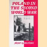 Poland in the Second World War door Jozef Garlinsky