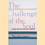 The Challenge of the Soul: A Guide for the Spiritual Warrior
Rabbi Niles Elliot Goldstein
€ 6,00