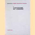 Oeuvres de Pierre Teilhard de Chardin 7: L'activation de l'énergie door Teilhard de Chardin