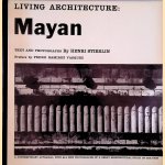 Living Architecture: Mayan door Henri Stierlin