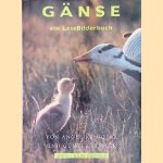 Gänse. Ein LeseBilderbuch door Angela Hofer e.a.