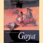 Goya door Francisco J. Rocha