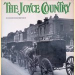 The Joyce Country door William York Tindall