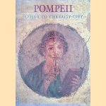 Pompeii: Guide to the Lost City door Salvatore Nappo