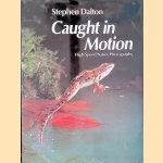 Caught in motion, high speed nature photography
Stephen Dalton
€ 8,00