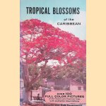 Tropical Blossoms of the Caribbean
Dorothy Hargreaves e.a.
€ 6,00