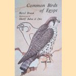 Common Birds of Egypt door Bertel Bruun