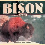 Bison for Kids door Todd Wilkinson