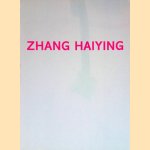 Anti-Vice door Zhang Haiying