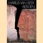 Marius van Beek: beelden
Liesbeth - en anderen Brandt Corstius
€ 7,50