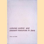 Colonial control and peasant resources in Java. Agricultural inolution reconsidered door Arthur van Schaik