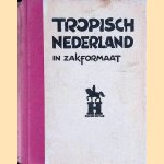 Tropisch Nederland in zakformaat (deel 1-10) door Pieter - en anderen Metselaar