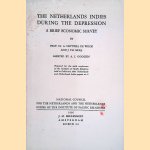 The Netherlands Indies during the Depression: a Brief Economic Survey door Prof.Dr. A. Neytzell de Wilde