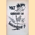 Wat gebeurt in Indonesië? door Joh.W.E. Riemens