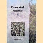 Buursink: kroniek van een Twentse familie door John Buursink