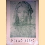 Die grossen Meister der Zeichnung: Pisanello
Giano Alberto Dell'Acqua
€ 12,50