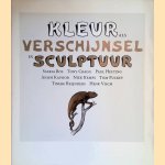 Kleur als verschijnsel in sculptuur: Saskia Bos, Tony Cragg, Paul Hefting, Anish Kapoor, Niek Kemps, Tom Puckey, Tineke Reijnders, Henk Visch
Tineke Reijnders
€ 12,00