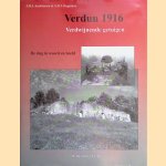 Verdun 1916: verdwijnende getuigen: de slag in woord en beeld door Andriessen J.H.J. e.a.