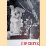 Stedelijk Museum Amsterdam: Jacques Lipchitz
Sandberg
€ 8,00