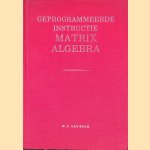 Geprogrammeerde instructie Matrix algebra door W. F. van Raaij